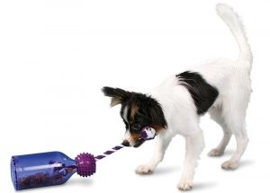 Tug a jug dog toy